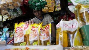 인도네시아, 식용유 원료 팜유 수출 중단…밥상물가 상승 우려