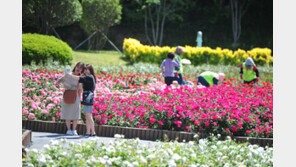 ‘거리두기 해제’ 첫 주말…전국 나들이 명소 상춘객 북적