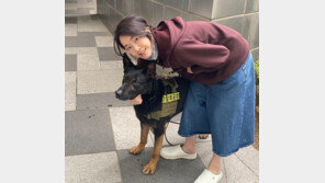 민주당 “김건희 ‘관저쇼핑’ 놀이” 국민의힘 “악의적 꼬투리” 