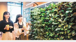 “미세먼지 꼼짝 마” 매장에 큰 나무 배치하고 공기청정기 늘려