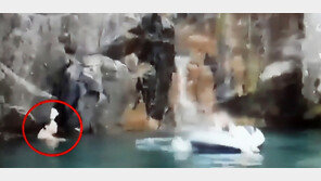 이은해, ‘계곡살인’ 다이빙 영상 조작?…전문가 “편집 가능성”