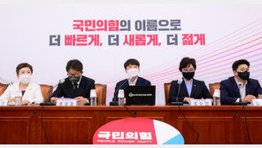 국민의힘 “중재안 재논의 결론…선거·공직자 범죄 관련 미흡”
