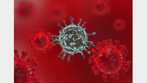 中관세청 “한국산 수산물 포장서 코로나 나와…1주일 수입 중단”