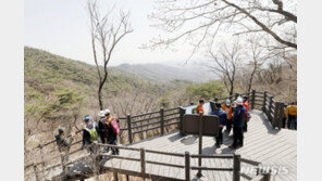 ‘청와대→ 북악산’ 등산로 출입…“춘추관 뒷길로 누구든”