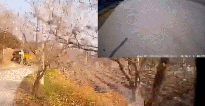 나뭇가지 때문에…전복된 1톤 트럭, 수리비만 2500만 원 (영상)