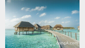 허니문 박람회부터 리조트 새 단장까지…‘엔데믹’ 준비하는 여행업계