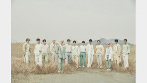 세븐틴, 2년반만에 日 오프라인 공연…내달 ‘불꽃놀이’