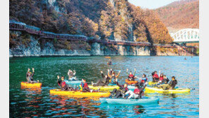 단양군, 카누 등 스포츠 대회 열여 ‘수상관광 메카’ 만든다