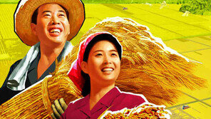 “北 곡물값, 최근 10년 간 국제가격보다 큰 폭 상승”