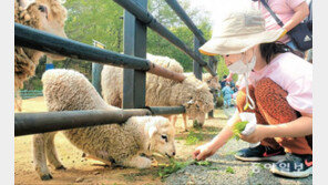 고개 쑥 빼고 오물오물