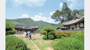 돌담길 걸으며 시간여행 한 바퀴… ‘명품 역사문화 도시’ 대구 동구