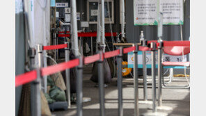 美서 ‘BA.2.12.1 변이’ 빠르게 전파중…질병청 “국내 확진 없어”