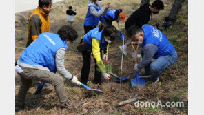 한국미래환경협회-KCC, ‘지구의 날’ 맞아 산림복원 캠페인 실시