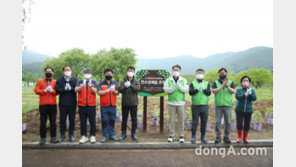 LH, 임직원 계단이용 적립금으로 나무 심는다