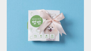 수제사료 전문업체 견물생식, 정성 가득한 습식사료 ‘멍반’ 출시