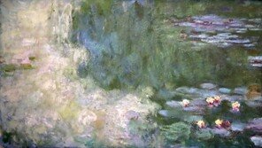 모네 ‘수련이 있는 연못’ 국내 첫 공개…고 이건희 회장 기증 1주년 기념전[청계천 옆 사진관]