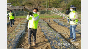 [포토]농협중앙회 조합구조개선부, 농촌일손돕기 실시