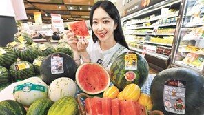 백자멜론-까망꿀수박