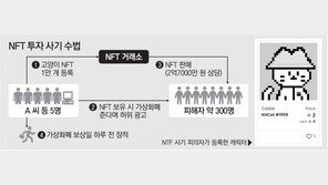 “고양이 캐릭터에 투자”… NFT 악용 사기 국내 첫 적발 