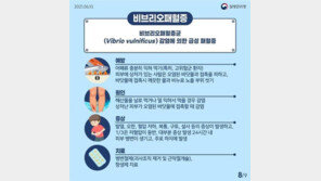 올해 첫 비브리오패혈증 확진자 발생…“어패류 꼭 익혀야”
