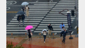 [날씨] 내일 전국 흐리고 새벽부터 비…경남권 해안 강풍