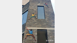 [고양이 눈]건물 외벽 등반가들