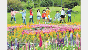 3년만의 나비축제… “다음 주부턴 마스크 없이 구경할 수 있어요”