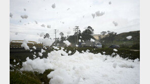 도시 주택가에 독성 거품…오염된 강서 눈처럼 날려