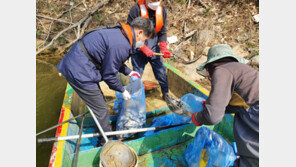 무안 저수지서 25㎝ 붕어만 집단 폐사…이유는?