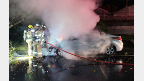 한밤중 화단 들이받은 차량 화재, 알고보니 음주운전 탓