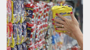 정부 “인니 팜유 수출 금지 영향 제한적…장기화시 수급 불안 우려”