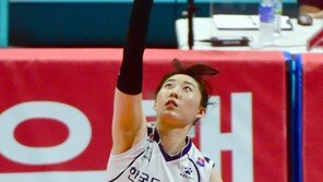 박정아·김희진 쌍포 가동…배구여자대표팀 명단 발표