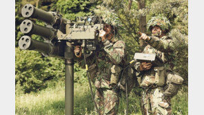 나토·핀란드·스웨덴, 동유럽서 최대 규모 훈련…英, 8000명 파견