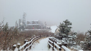 초여름 ‘입하’ 한 주 앞둔 강원 산간에 눈 ‘겨울 정취’