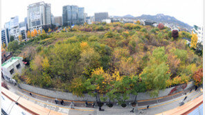 송현동 부지 ‘서울광장 3배’ 녹지광장 된다…“靑·광화문광장과 시너지”