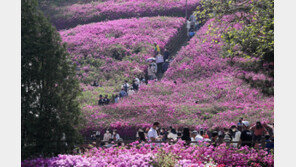 [날씨]토요일 구름 많고 일요일 전국 맑아…기온 20도 아래 선선