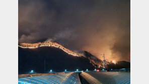 낙엽 태우다 산림 720㏊ 잿더미…산불 원인 제공 50대 검찰 송치