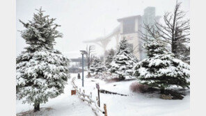 ‘봄시샘’ 눈 내린 발왕산