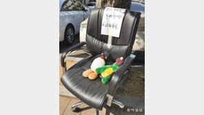 [고양이 눈]교환 불가