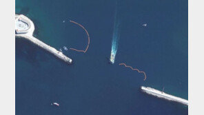 러시아 ‘스파이 돌고래’…흑해함대 침입자 찾아낸다