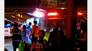 “멧돼지로 착각”…택시기사에 엽총 쏴 숨지게한 70대 체포