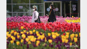 [날씨]다음주 낮 최고기온 29도…평년 수준 웃돌아