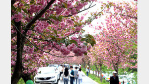 맑은 날씨 나들이 차량으로 전국 고속도로 ‘혼잡’…부산→서울 6시간