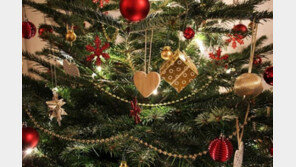 英 런던 의회 희한한 권고…“성탄카드에 ‘가족’ 단어 쓰지 마세요”