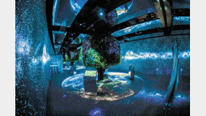 SK, 세계산림총회서 50년 조림사업 등 ESG 경영 소개