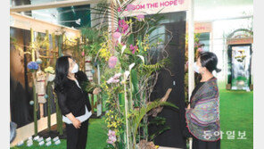 “블라썸 더 호프 축제에서 힐링하세요”