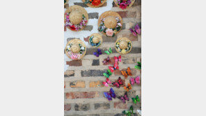 [고양이 눈]나비야, 이리 날아 오너라