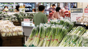 4월 소비자물가 4.8%↑…금융위기 이후 13년 반 만에 최고