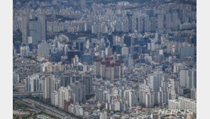 2030 서울아파트 매입 비중 느는데…DSR 미래소득 반영 영향은?