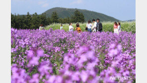 [날씨]수요일 최고 29도 ‘초여름’ 더위…전국 맑고 큰 일교차